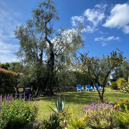 Villa Del 1700 Immersa Nel Verde, Poggio Al Sole